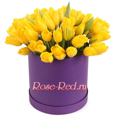 45 желтых тюльпанов в коробке