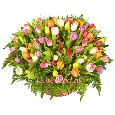 Нарядная весна Корзина тюльпанов