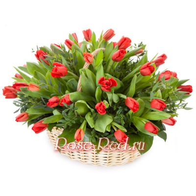 Корзинка красных тюльпанов